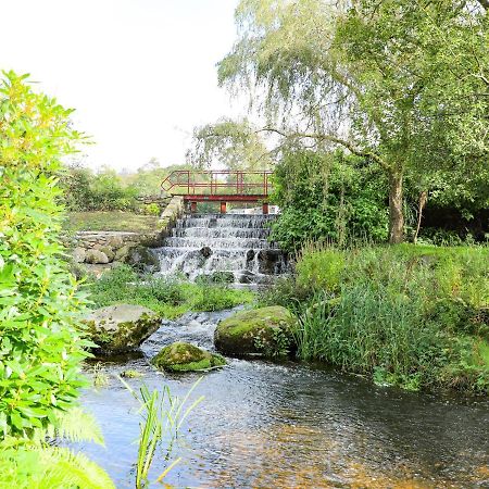 Eirlys Villa Caernarfon Dış mekan fotoğraf